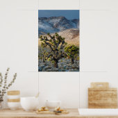 デスバレーの雪 ポスター (キッチン)