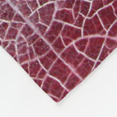 デスバレー国立公園 フリースブランケット (角)