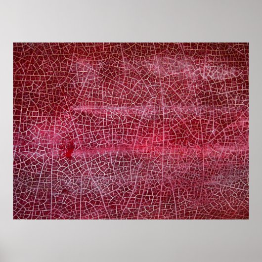 デスバレー国立公園 ポスター (正面)