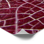 デスバレー国立公園 ポスター (角)