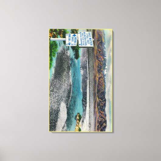 デスバレー国立記念碑の悪水 キャンバスプリント (正面)