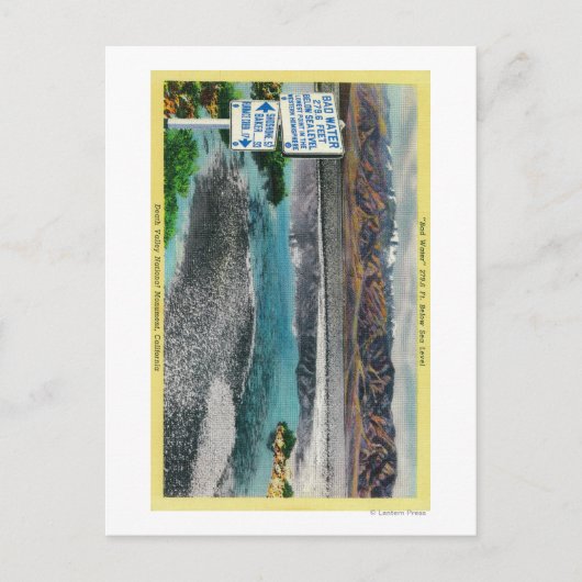 デスバレー国立記念碑の悪水 ポストカード (正面)