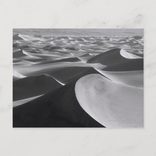デスバレー景観 ポストカード (正面)
