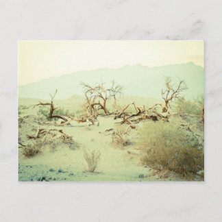 デスバレー砂丘 ポストカード