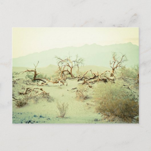 デスバレー砂丘 ポストカード (正面)