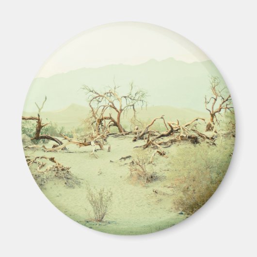 デスバレー砂丘 マグネット (正面)