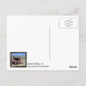 デスファンキーバレーはがき! ポストカード (裏面)