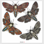 デスヘッドホークモススカルソラックス4バリエーション シール (シート)