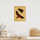 デスヘッドモス ポスター (キッチン)