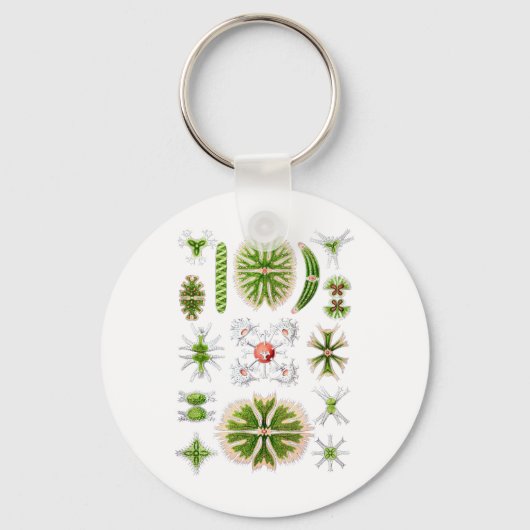 デスミッド キーホルダー (正面)