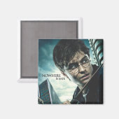 デスリーハローズ – ハリー マグネット (正面/裏面)