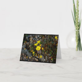 デスヴァレーによってはメッセージカードが開花します カード