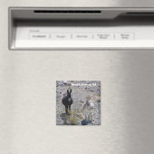 デス・バレー・ロバ・マグネット！ マグネット (インサイチュ (食洗機))