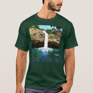 デソト州パークアラバマ Tシャツ