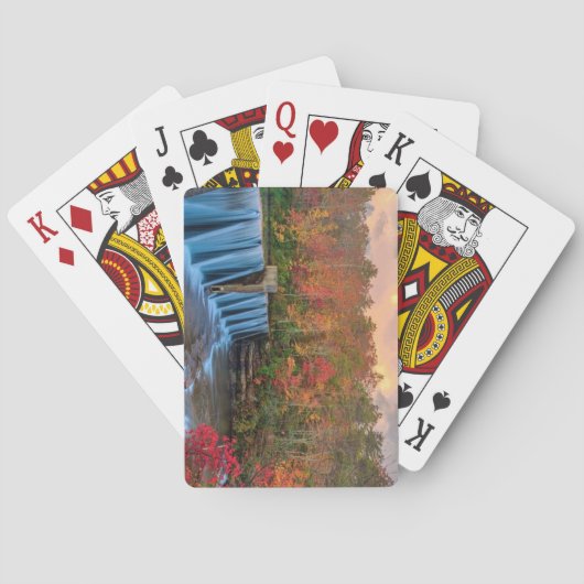 デソト州パーク，アラバマ トランプ (裏面)