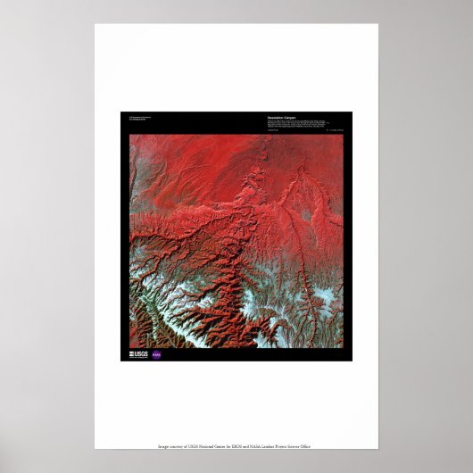 デソレーションキャニオンユタ ポスター (正面)