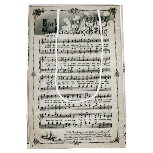 デッキザホールズミュージックシート抱き枕 ミディアムペーパーバッグ (裏面)