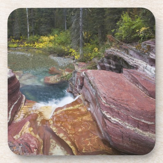 デッドウッド滝オンレイノルズクリーク秋 コースター (正面)