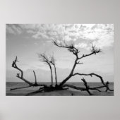 デッドウッド ポスター (正面)