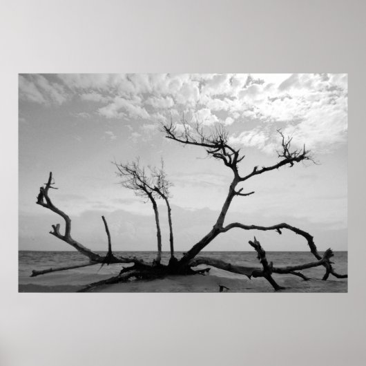 デッドウッド ポスター (正面)