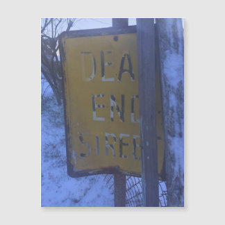 デッドエンド型雪磁石