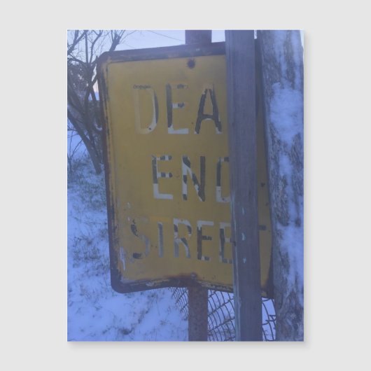 デッドエンド型雪磁石 (正面)