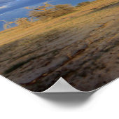 デッドカメルソーン（アカシアエリオロバ）ツリー ポスター (角)