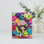 デッドキャット祭りの日 シーズンカード (スタンド正面)