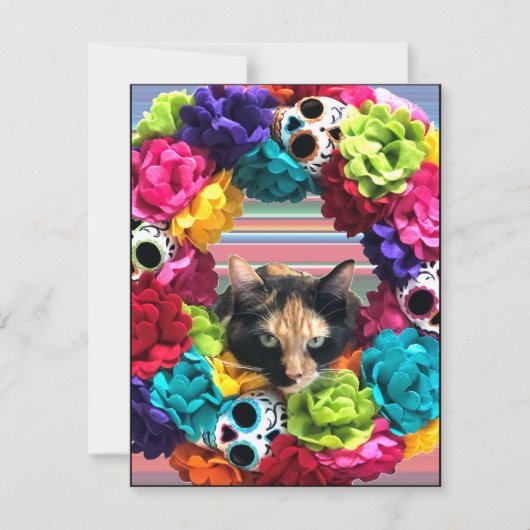 デッドキャット祭りの日 シーズンカード (正面)