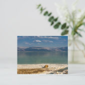 デッドシー,イスラエル休日はがき シーズンポストカード (スタンド正面)