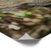 デッドツリースタンプ自然 ポスター (角)