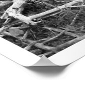 デッドツリーブラック&ホワイトプリント ポスター (角)