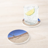 デッド·バレイ、ソススブレイ、ナミブ·ナウクルフト·ナショナル コースター (側面)