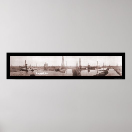 デデデモナ油フィールドフォト1919 ポスター (正面)