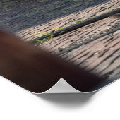 デトマソパンテラ ポスター (角)