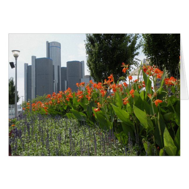 デトロイトカードの夏 (正面横)