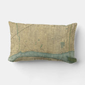 デトロイトミシガン州(1895年)のヴィンテージの地図 ランバークッション (裏面)