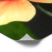 デトロイト動物園 ポスター (角)