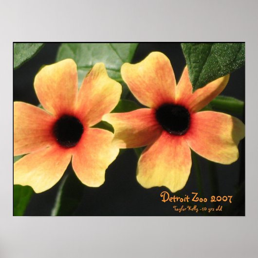 デトロイト動物園 ポスター (正面)