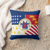 デトロイト国旗、ミシガン装飾用クッション クッション (ブランケット)