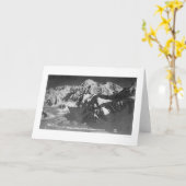 デナリアラスカ1910年 カード (黄色い花)