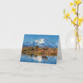 デナリ国立公園アラスカウォーター色 カード (黄色い花)