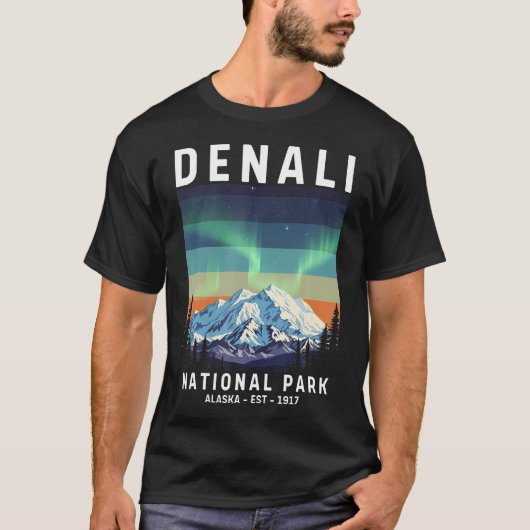 デナリ国立公園 ビンテージ アラスカ デナリ Tシャツ (正面)
