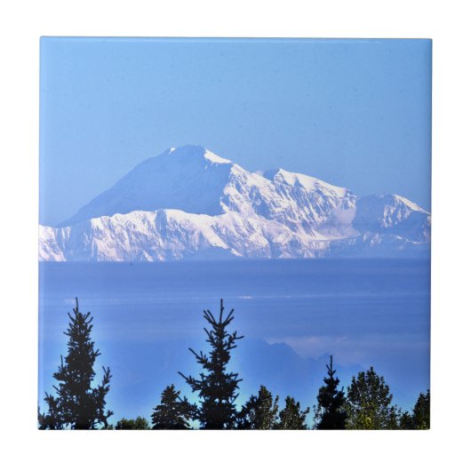 デナリ山のセラミックタイル タイル (正面)