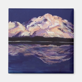 デナリ磁石 マグネット