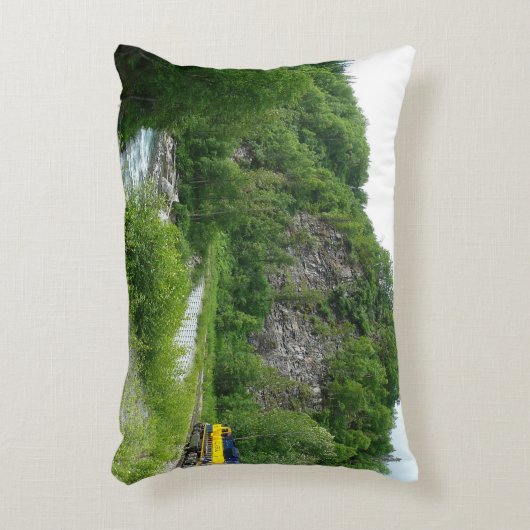 デナリ表現ア・アラスカ列車の休暇の写真 アクセントクッション (正面(垂直))