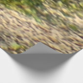 デナリ表現ア・アラスカ列車の休暇の写真 ウッドポスター (コーナー)