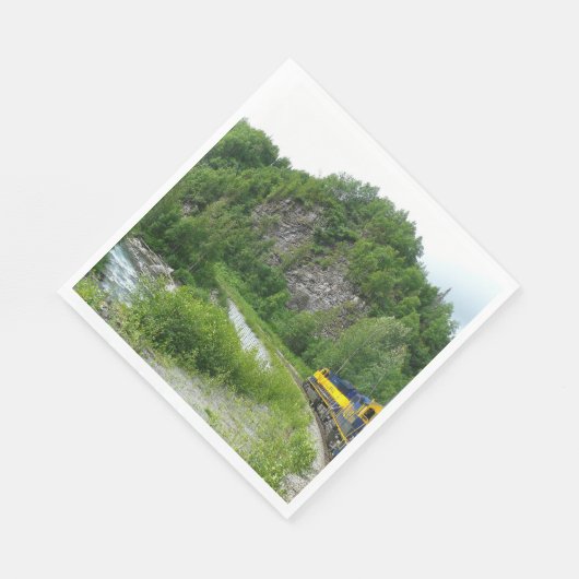 デナリ表現ア・アラスカ列車の休暇の写真 スタンダードランチョンナプキン (角)