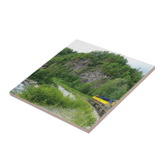 デナリ表現ア・アラスカ列車の休暇の写真 タイル (側面)
