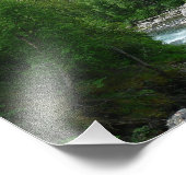 デナリ表現ア・アラスカ列車の休暇の写真 フォトプリント            (角)